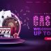 Baji 999 Review A Top Pick for Live Online Casino Action