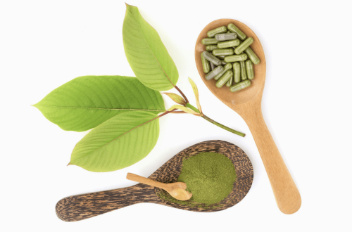 From Thailand’s Heart The Hidden Powers of Authentic Thai Kratom