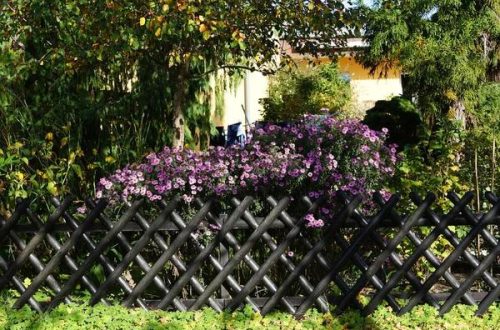 Adding Value to Your Home with Stylish Fencing from Our Experienced Fence Company