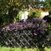 Adding Value to Your Home with Stylish Fencing from Our Experienced Fence Company