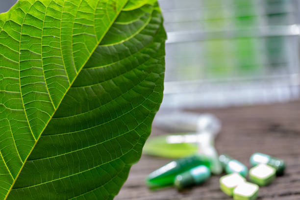 Understanding the Top Kratom for Pain Benefits